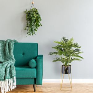 Produktbild für Kunstpflanze Creativ-green Kentiapalme