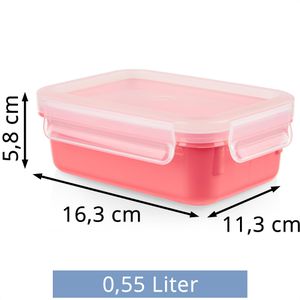 Produktbild für Frischhaltedose Emsa Clip&amp;Close N10123, aus Kunststoff