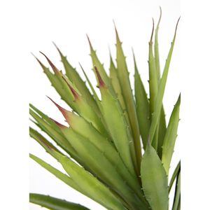 Produktbild für Kunstpflanze I.GE.A. Aloe Vera