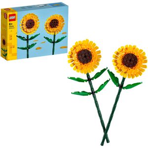 Klemmbausteine LEGO Botanicals 40524, ab 8 Jahre