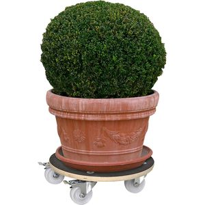 Produktbild für Pflanzenroller Wagner-System GH 1107, für innen und außen