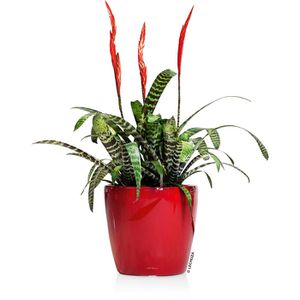 Produktbild für Übertopf Lechuza CLASSICO LS 28, rot hochglanz, Ø 29 x 26 cm