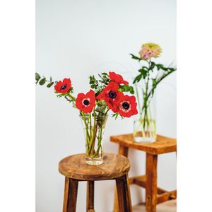 Produktbild für Vase Montana 011126 fiori grande rund, Glas