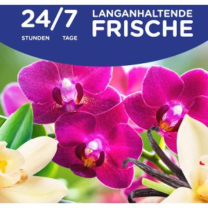 Produktbild für Weichspüler Softlan Ultra Vanille &amp; Orchidee