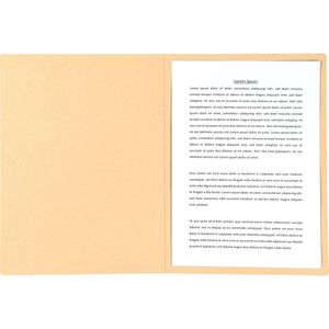 Produktbild für Aktendeckel bene 81900CH, A4, chamois