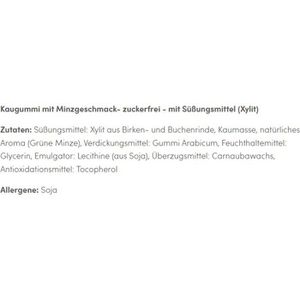 Produktbild für Kaugummis Birkengold Xylit Kaugummi Grüne Minze