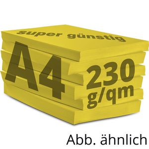 Produktbild für Kopierpapier Papyrus Rainbow 88376508
