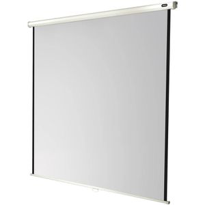 Produktbild für Beamer-Leinwand Celexon Rollo Economy