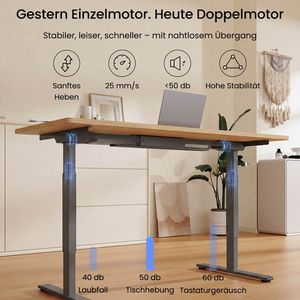 Produktbild für Schreibtisch FlexiSpot E1B Pro, ahorn / schwarz