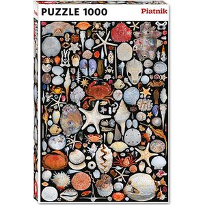 Piatnik Puzzle 5663 Muscheln, 1000 Teile, ab 10 Jahre