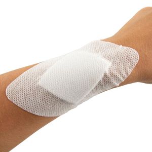 Produktbild für Pflaster Holthaus Ypsipor, 10 Strips