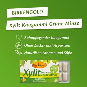 Produktbild für Kaugummis Birkengold Xylit Kaugummi Grüne Minze