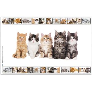 Schreibunterlage Herma 19379, mehrfarbig