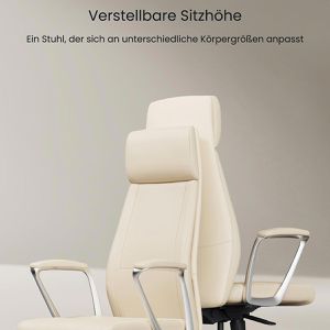 Produktbild für Chefsessel FlexiSpot LC7W