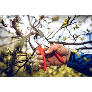 Produktbild für Gartenschere Original-LÖWE 1.104, Amboss