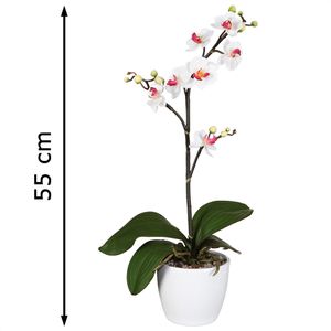 Produktbild für Kunstblume Creativ-green Orchidee, Phalaenopsis