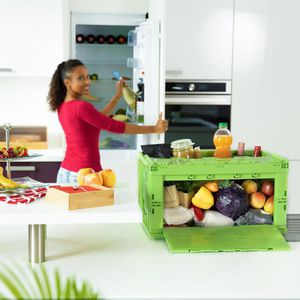 Produktbild für Klappbox Relaxdays 10022590, grün, 60 Liter