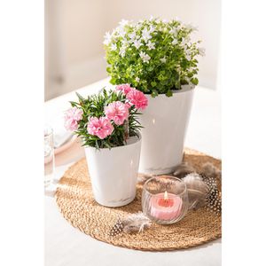 Produktbild für Übertopf Lechuza MINI-DELTINI, weiß hochglanz, 10 x 13 x 10 cm