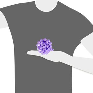 Produktbild für Geschenkschleife Präsent Bows oasis, sortiert