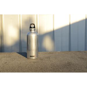 Produktbild für Trinkflasche SIGG Traveller Alu