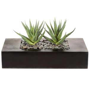 Creativ-green Kunstpflanze Agave x2, im Topf, Hhe 14 cm  Bttcher AG