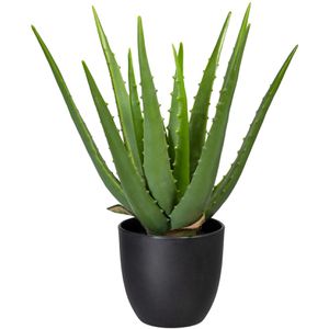 Kunstpflanze Creativ-green Aloe Vera