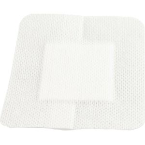 Produktbild für Pflaster Holthaus Ypsipor, 10 Strips