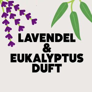 Produktbild für Waschmittel Ecover Color Lavendel Eukalyptus