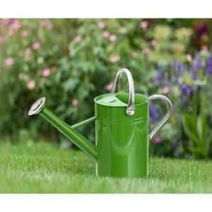 Produktbild für Gießkanne Kent&amp;Stowe 735715, grün