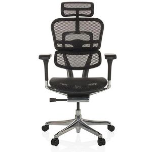 Produktbild für Bürostuhl hJh-OFFICE ERGOHUMAN GEN2, 652277