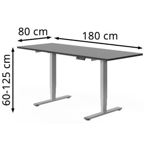 Produktbild für Schreibtisch FlexiSpot E5S, schwarz / grau