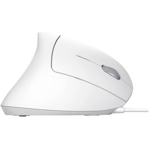 Produktbild für Maus Trust Verto Ergo White Wired 25133