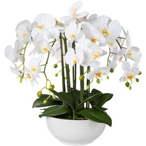 Kunstblume Creativ-green Orchidee, Phalaenopsis