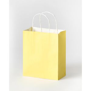 Produktbild für Papiertüten Folia Basic M, 21839, bunt