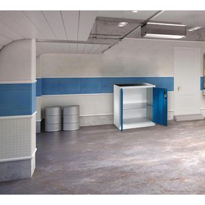 Produktbild für Werkzeugschrank CP-Möbel 8820-000, aus Metall, grau / blau