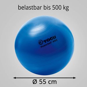 Produktbild für Gymnastikball Togu Powerball ABS