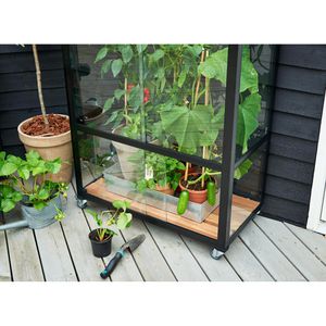 Produktbild für Gewächshaus Juliana Urban City Greenhouse, 0,32 m²