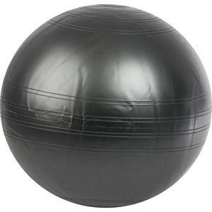 Produktbild für Gymnastikball Togu Powerball ABS