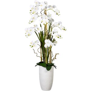 Produktbild für Kunstblume Creativ-green Orchidee, Phalaenopsis