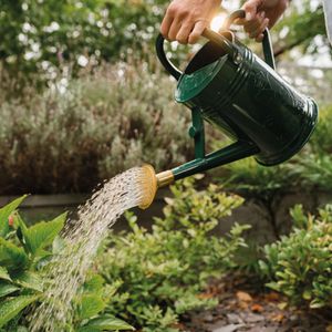 Produktbild für Gießkanne Kent&amp;Stowe 70300648, dunkelgrün