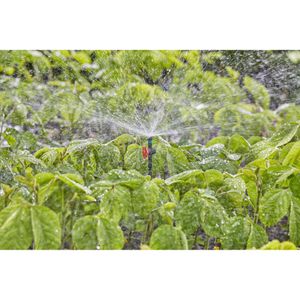 Produktbild für Micro-Drip-System Gardena Sprühdüse 360°, 13322-20