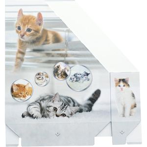 Produktbild für Stehsammler Herma 19717, Katzen, A4