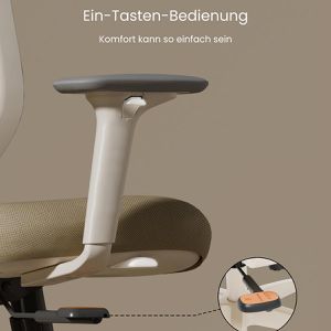 Produktbild für Bürostuhl FlexiSpot C5W-PRO