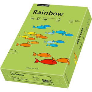 Produktbild für Kopierpapier Papyrus Rainbow 88042659