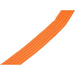 Produktbild für Spanngurt Feldtmann TECTOR, orange, mit Haken &amp; Ratsche