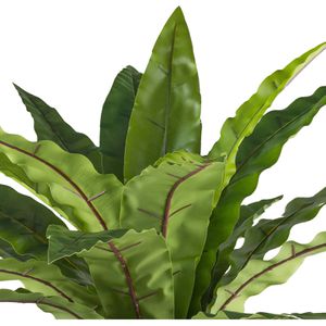 Produktbild für Kunstpflanze Creativ-green Asplenium