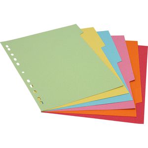 Produktbild für Register Brunnen 1066575, A4, blanko