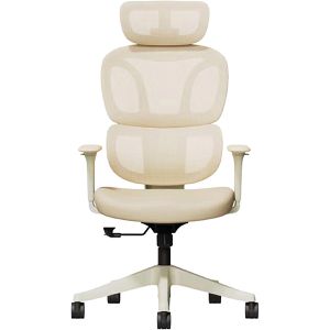 Produktbild für Bürostuhl FlexiSpot BS5W