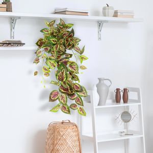 Produktbild für Kunstpflanze I.GE.A. Buntnessel