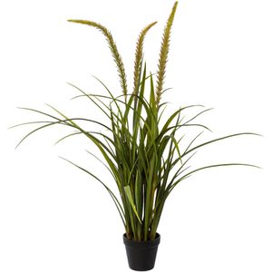 Kunstpflanze Creativ-green Miscanthus